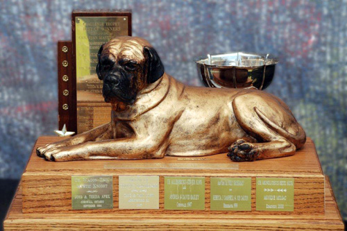 BOB Trophy